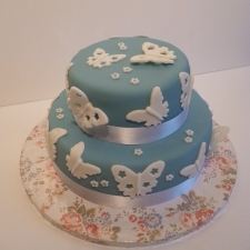 Butterfly cake.JPG