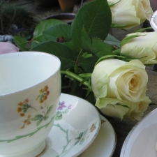 Cup and rose